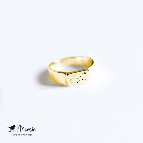 Ring Sterrenbeeld Waterman goud op zilver Ring Sterrenbeeld Waterman goud op zilver